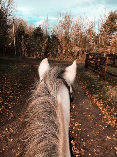 G�te Au Haras Des Arts