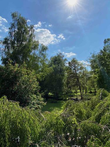 Hotel Le Moulin Fouret