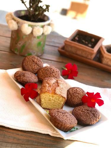 Bed & Breakfast Atelier Des Vidaux