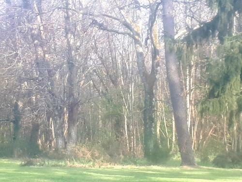 Bed & Breakfast Le Bois Du Bournat