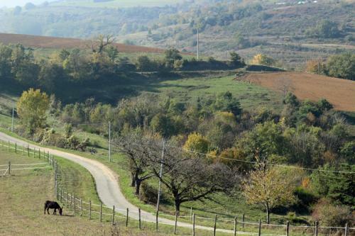 Les Gites De Coursodon