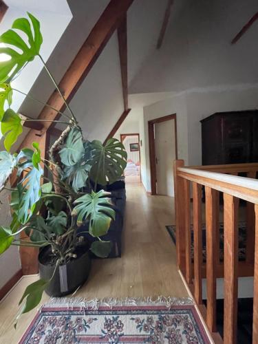 Maisons De R�ve 20 Pers Piscine
