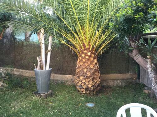 Apartamento Les Milles Plantes