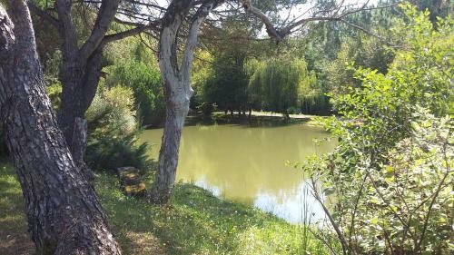 La Petite Marviniere