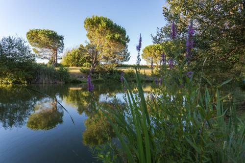 Bed & Breakfast La Marviniere