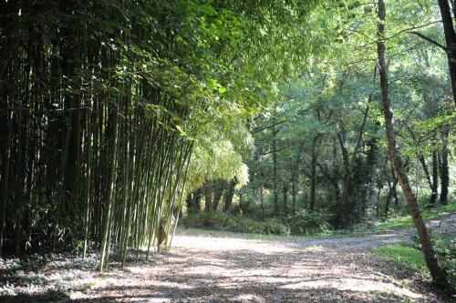 Bed & Breakfast La Marviniere