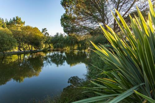 Bed & Breakfast La Marviniere