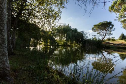 Bed & Breakfast La Marviniere