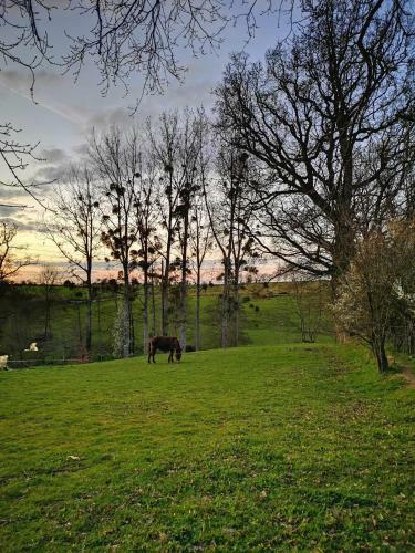Gem�tliches Micro-haus Auf Dem Land Mit Pool Und Privatgarten