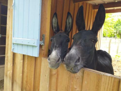 Bed & Breakfast Ma Maison Bleue