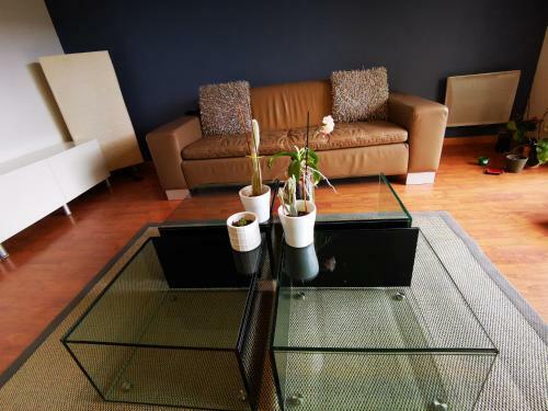 Apartamento Le Grand Briochin