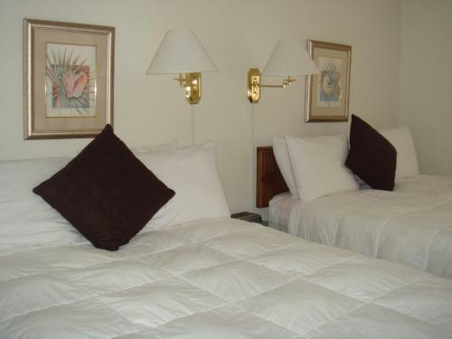 Hotel Beach Shell Inn
