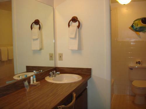 Hotel Beach Shell Inn