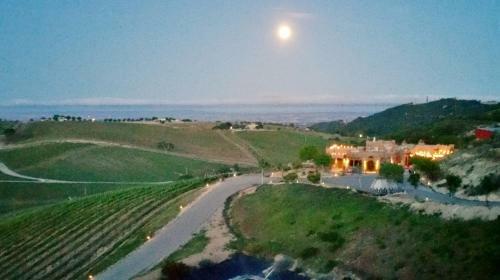 Wild Coyote Winery - Bed & Breakfast