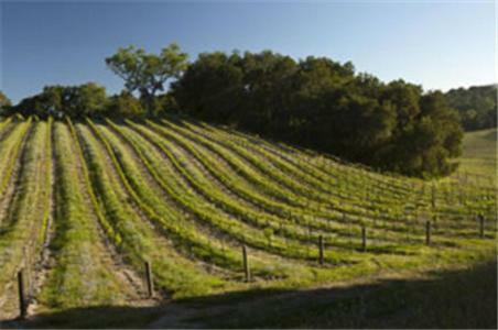 Dunning Vineyards Guest Villa