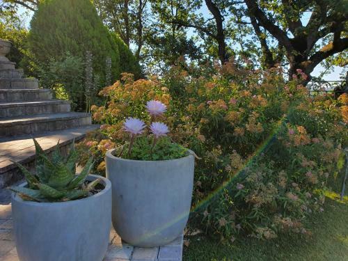 Bed & Breakfast Mont�ze Paradis