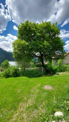 Apartamento Chalet-luxe-serre Cambeou