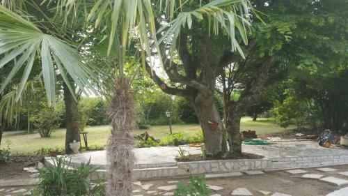 Bed & Breakfast Le Domaine De Canesse
