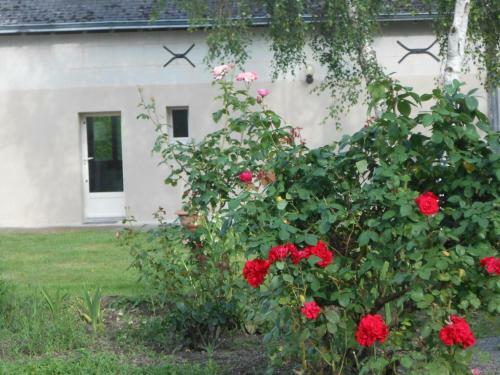 La Villa Brune