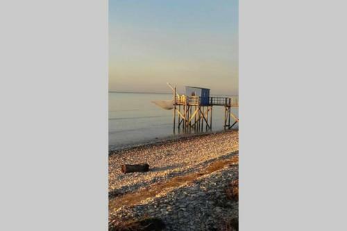 Bienvenue � L Abricotier