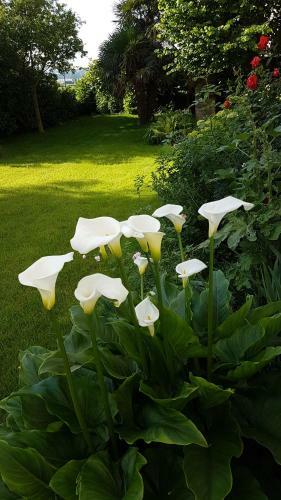 Bed & Breakfast Chambre D'h�tes Liz'a