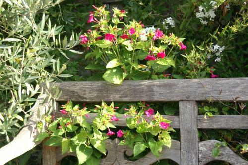 Bed & Breakfast Giverny Cottage