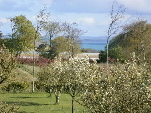 Hostal Maison D'h�tes "bienlivien"