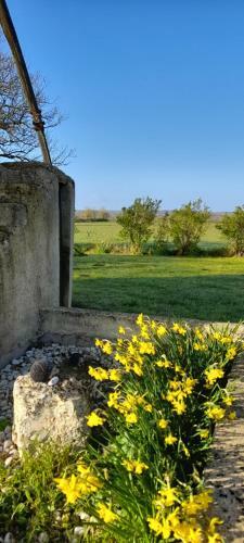 Moulin � Vent Le Champ Du Trail