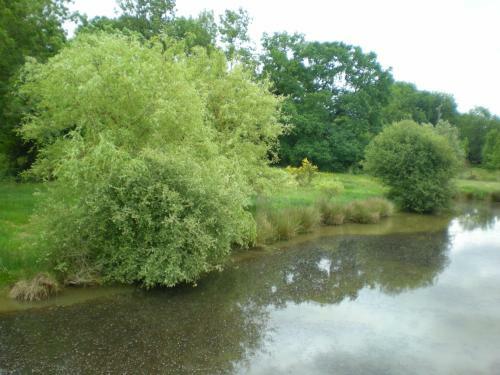 G�te Le Moulin De La Chaussee