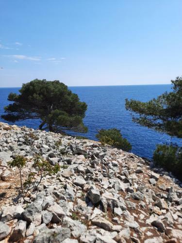Apartamento Les Aigues Marines
