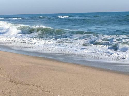 Apartamento Saint Cyprien Plage