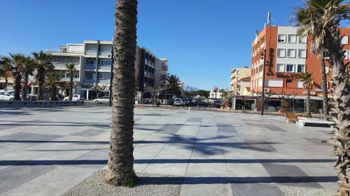 Apartamento Le Cosy-loc Saint Cyprien Plage 66