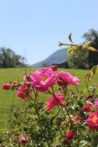 Agroturismo Les Jardins Du Cot