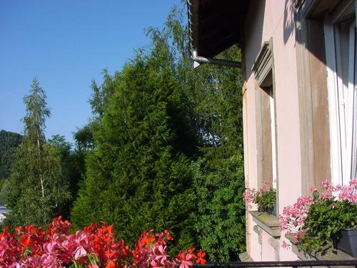 Bed & Breakfast Chambres D'hotes " Le Magnolia "