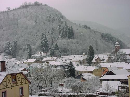 Bed & Breakfast Chambres D'hotes " Le Magnolia "