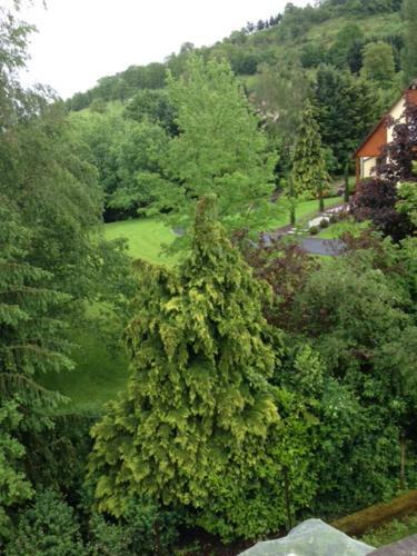 Bed & Breakfast Chambres D'hotes " Le Magnolia "