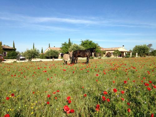 Bed & Breakfast Ferme Para Lou