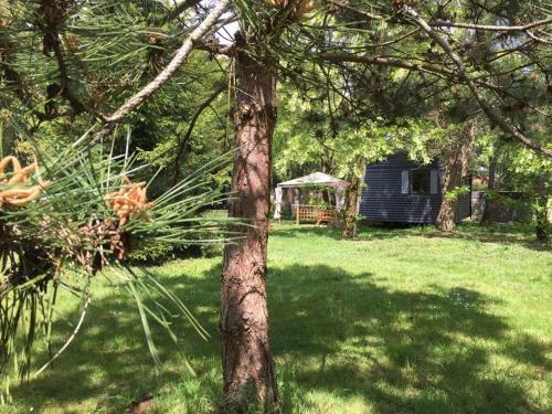 Manoir Le Mingreaud-bungalows