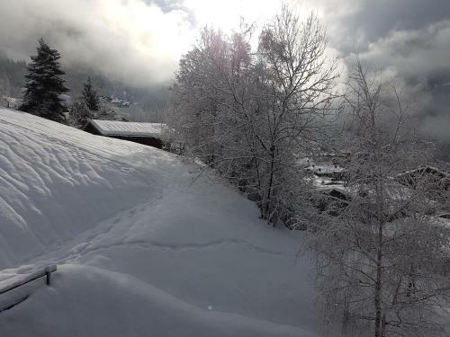 Apartamento Arpege Des Neiges