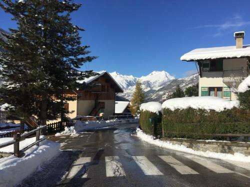 Le Petit Saint Bernard
