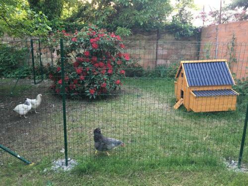 Bed & Breakfast Logis Du Petit Dodo