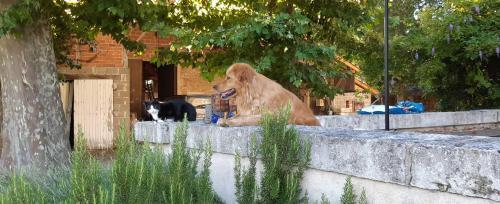 Jardin Du Lot & Carotte