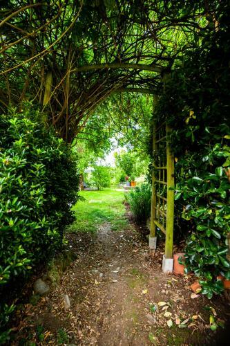 Mirguet Au Jardin