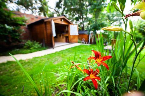 Mirguet Au Jardin