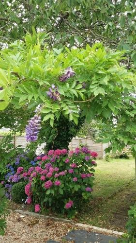 Bed & Breakfast La Maison De Gabrielle