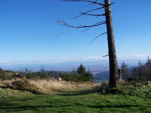 Apartamento G�te Aux Sapins