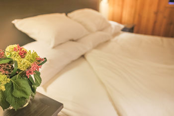 Hotel Mckinley Chalets