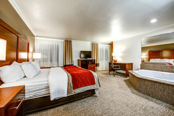 Hotel Comfort Inn Fontana