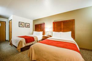 Hotel Comfort Inn Fontana
