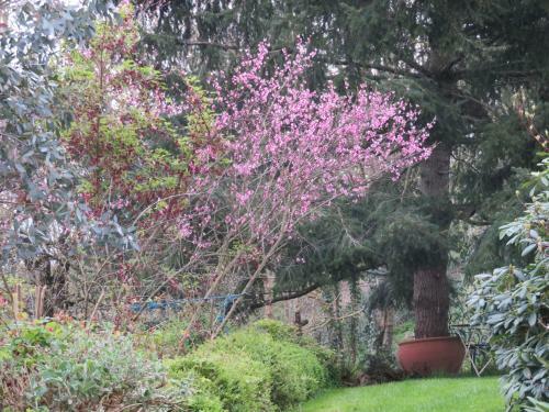 Hostal Ecrin De Verdure